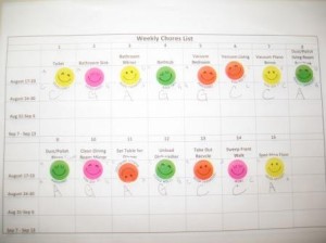 IMG_4928blog The chore chart, just to give an idea.